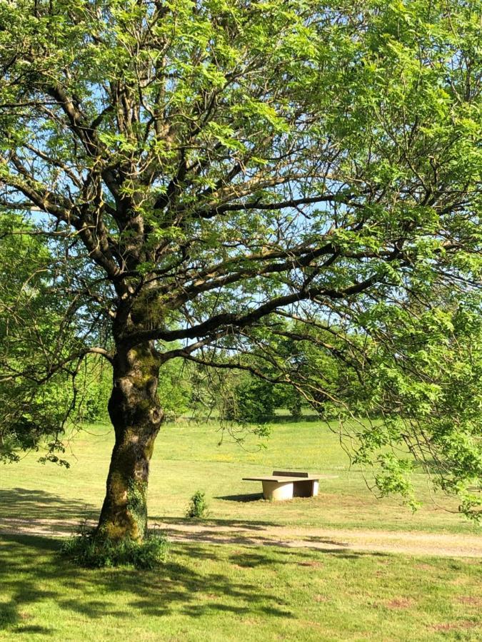 Domaine De Tapies 2 Gites Jusqu A 19 Personnes Cornus Εξωτερικό φωτογραφία